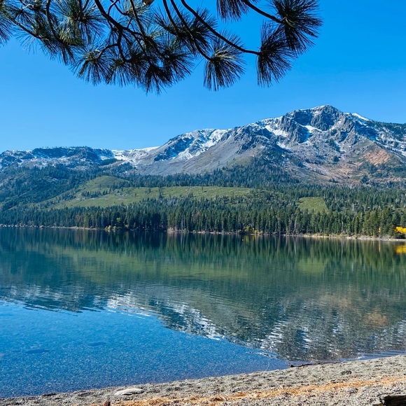 Meet your Posher, bob - Picture 1 of 1